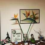 Casa Do Sul