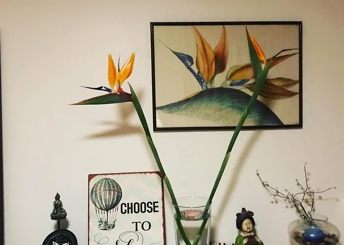 Casa Do Sul